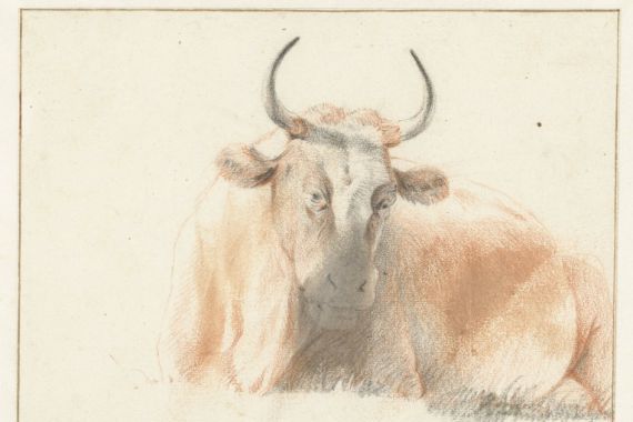 Jan de Bray (possibly)
