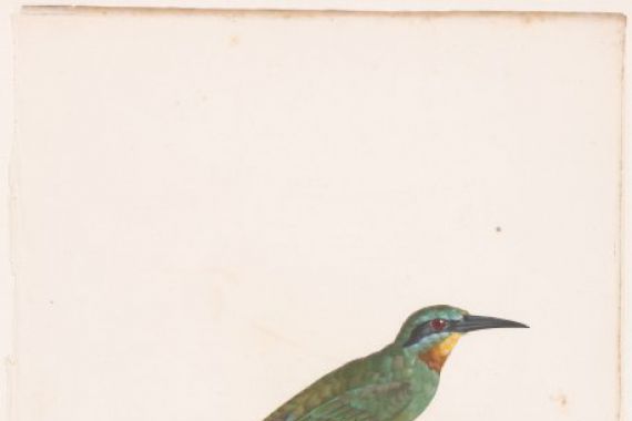 Jean Baptiste Guyard