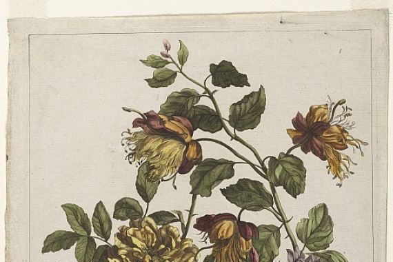 Jean Baptiste Monnoyer I