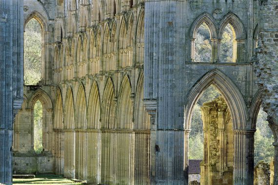 Joe Cornish
