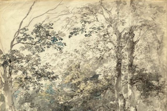 Johann Georg vonm Dillis
