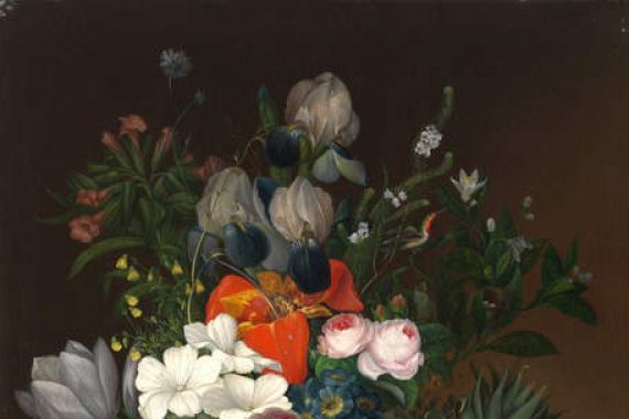 Johanna Salm Reifferscheidt