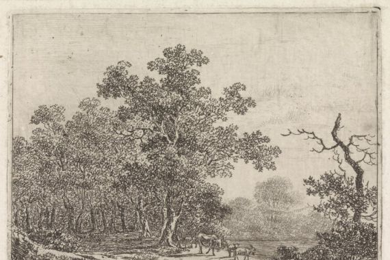 Johannes Christiaan Janson