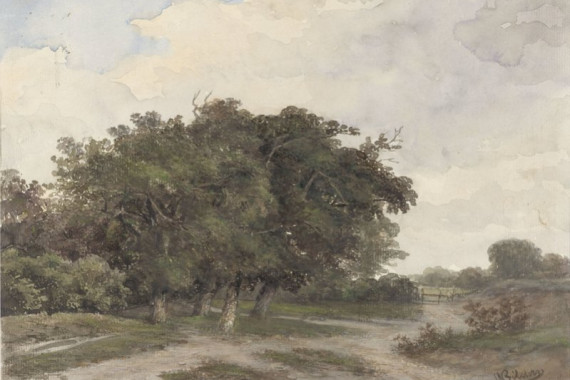 Johannes Warnardus Bilders