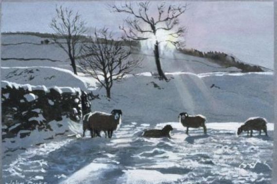 John Cooke