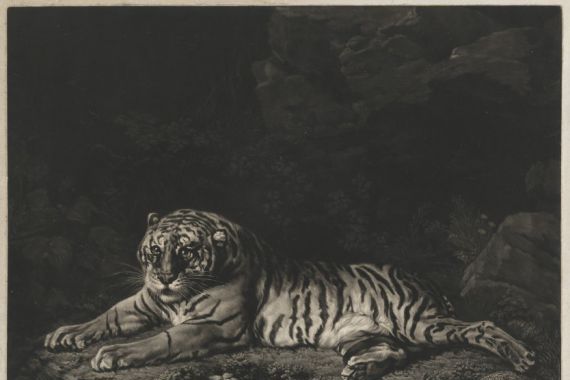 John Dixon after George Stubbs