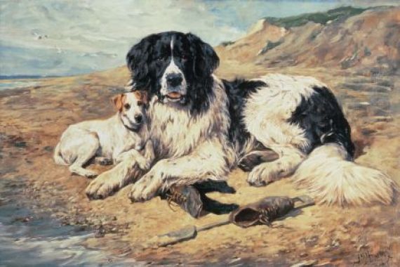 John Emms
