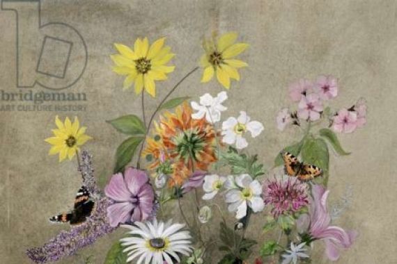 John Gubbins