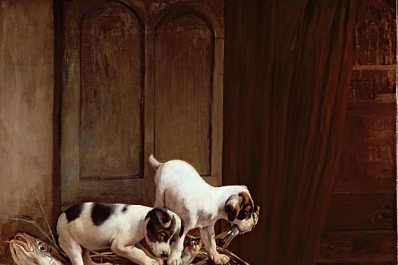 John Hayes