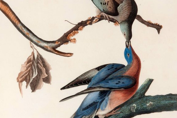 John James Audubon