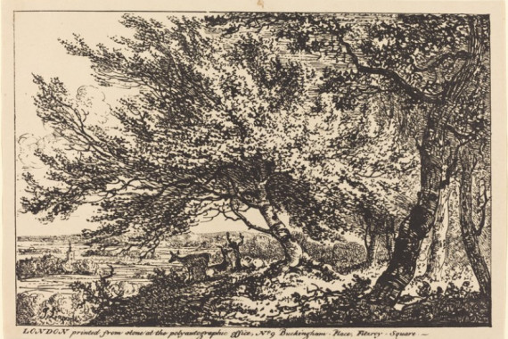John Laporte