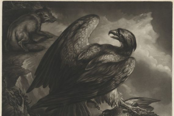 John Murphy after James Northcote