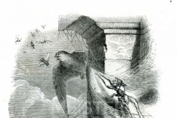 John Quartley