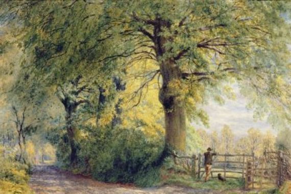 John Steeple