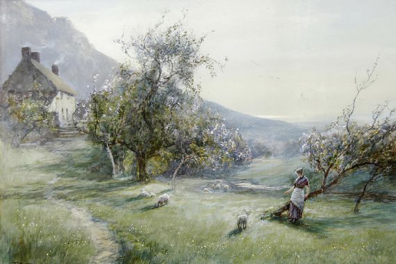 John White