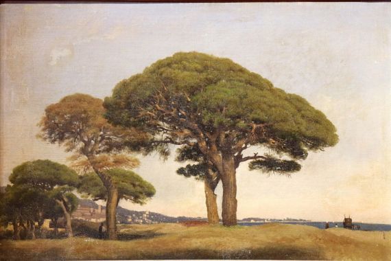 Joseph Contini
