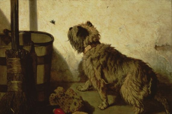 Joseph Stevens