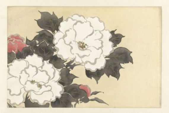 Kamisaka Sekka