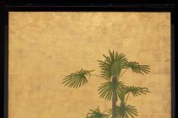 Kano Sansetsu