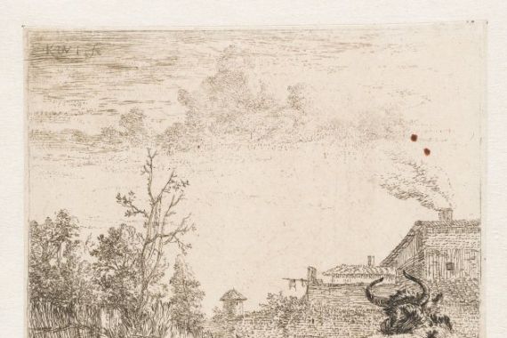 Karel du Jardin (signed by artist)