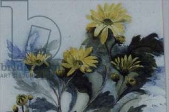 Karen Armitage