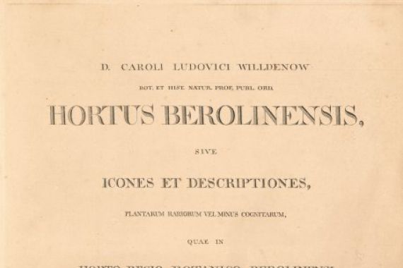 Karl Ludwig Willdenow