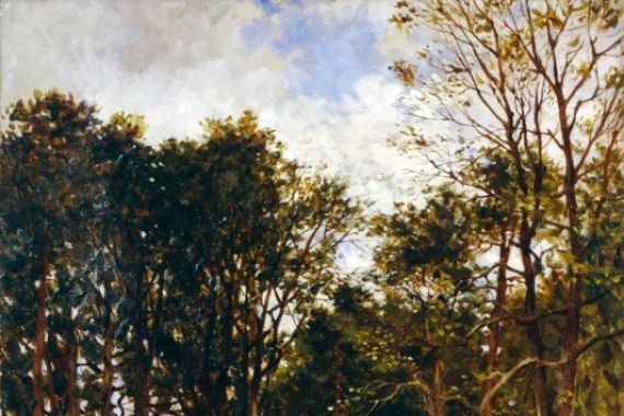 Kate S. Brodie