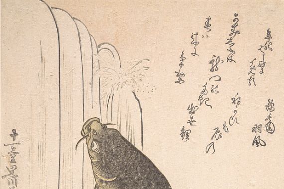 Kurokawa Michita