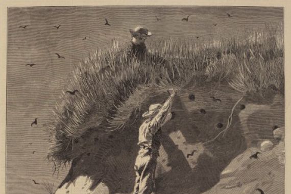 Lagarde after Winslow Homer
