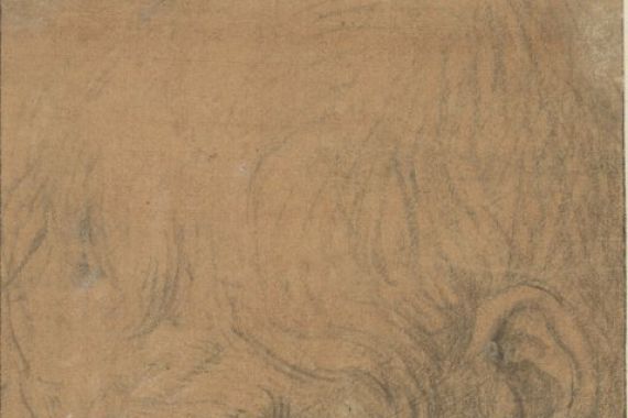 Leonardo da Vinci (follower of)