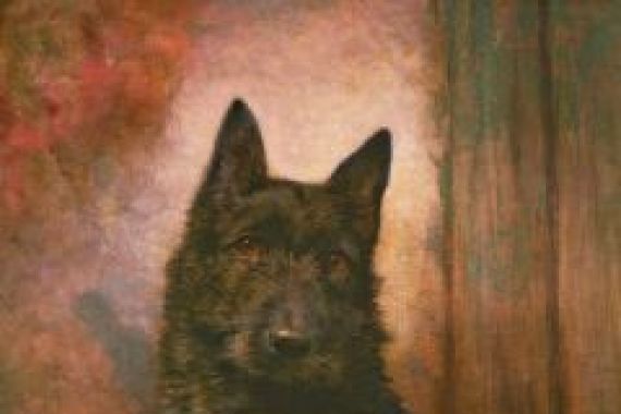 Lilian Cheviot