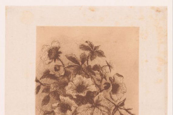 Louise Elsen (attributed to)