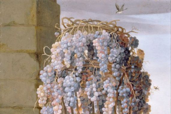 Luca Forte