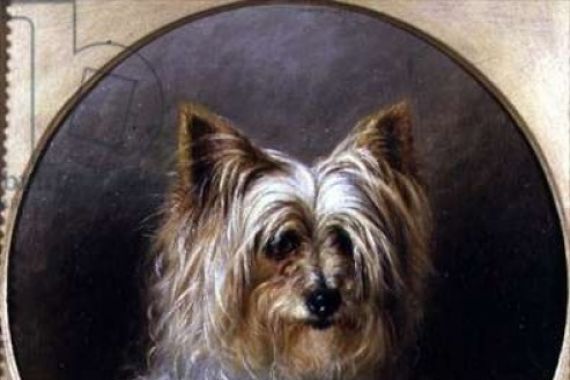 M. Cocker