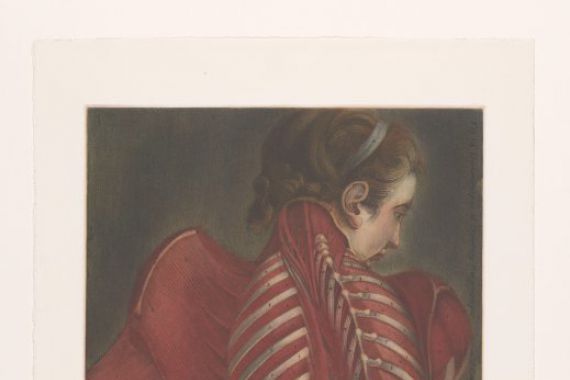 M.D. Duplain