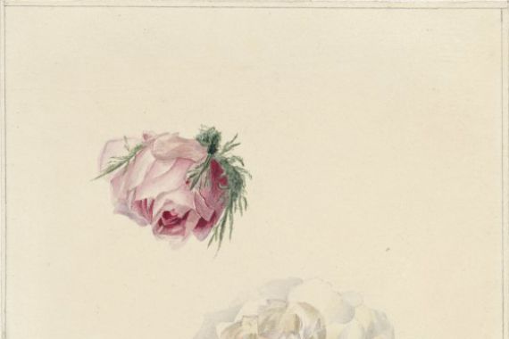 Marie Louise Praetorius