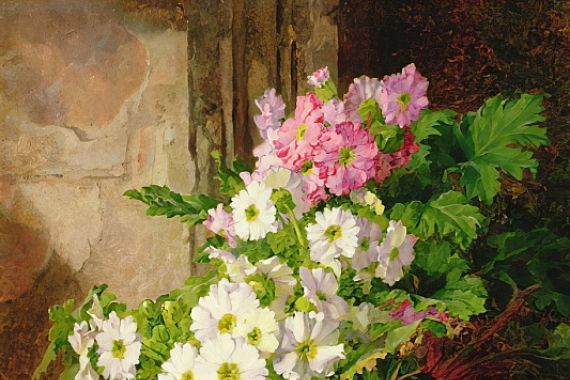 Martha Darley Mutrie