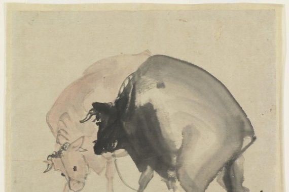 Maruyama Oju