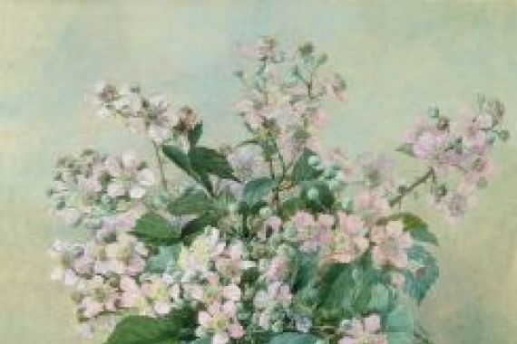 Mary E. Butler