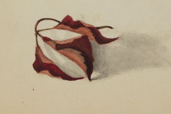 Mary Vaux Walcott