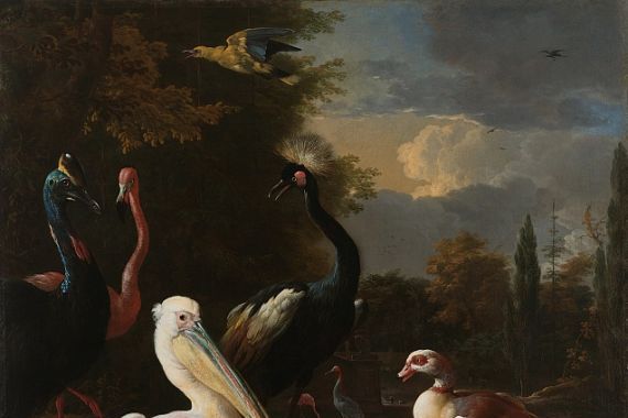 Melchior dHondecoeter