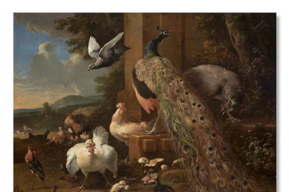 Melchior de Hondecoeter