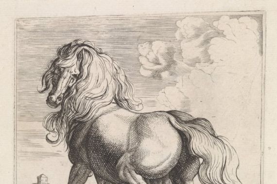 Moyses van Wtenbrouck (possibly)