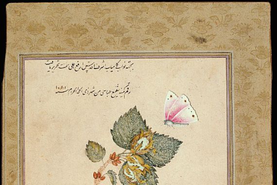 Muhammad Shafi Abbasi