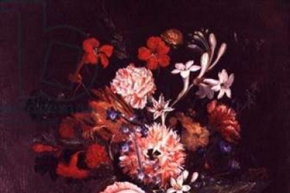 N. Javrillard