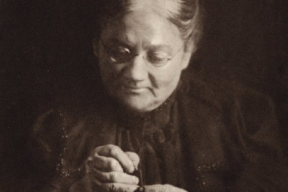 Nichol Elliot
