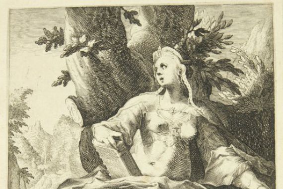 Nicolaes Braeu