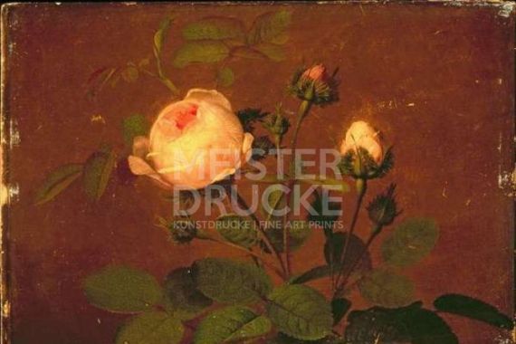 Otto Didrik Ottesen