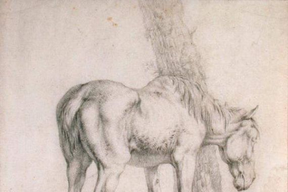 Paulus (attr.to) Potter