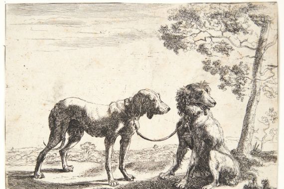 Paulus van Hillegaert (II)